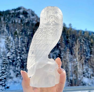 selenite satin spar crystal carving. high quality selenite owl hand carved sculpture. statement pieces collectors crystal for decor