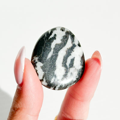 Zebra Jasper Flat Stone - MINI