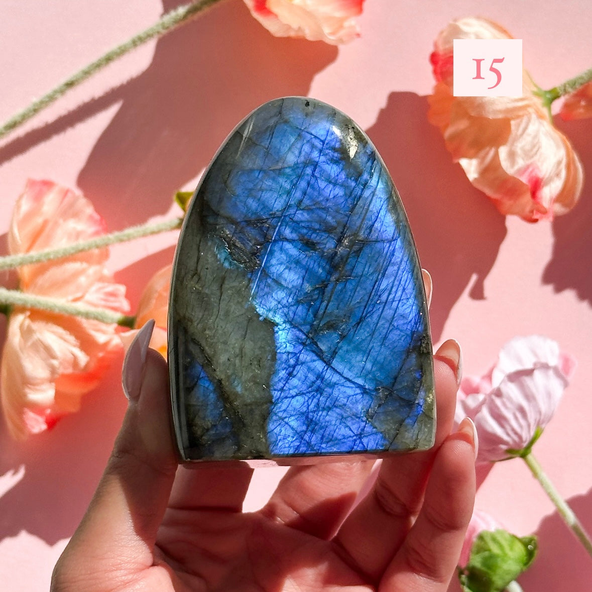 Labradorite Freeforms