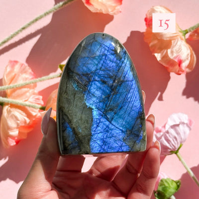 Labradorite Freeforms