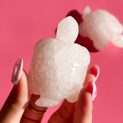 Rose Quartz Turtle