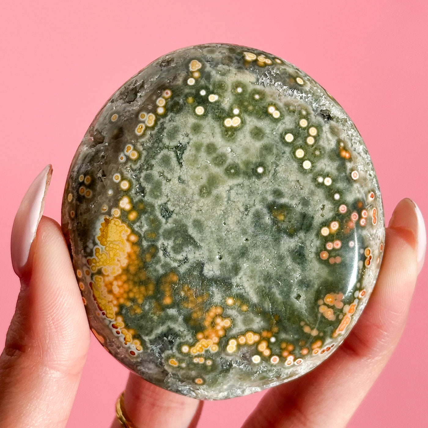 Ocean Jasper Palmstone