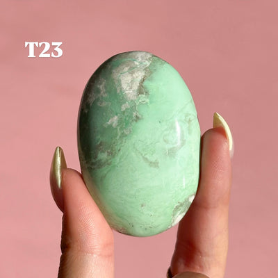 Lucin Variscite Palmstone