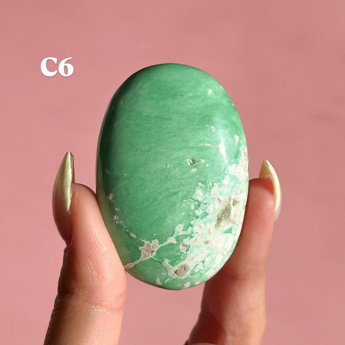 Lucin Variscite Palmstone