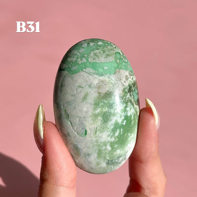 Lucin Variscite Palmstone