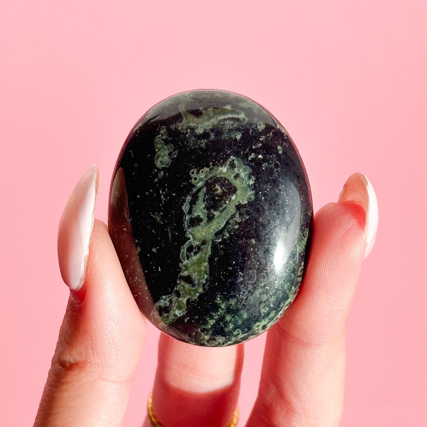 Kambaba Jasper Palmstone