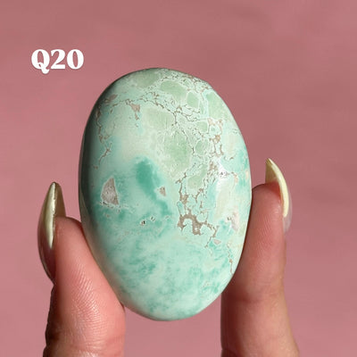 Lucin Variscite Palmstone