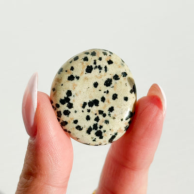 Dalmatian Jasper Flat Stone - MINI