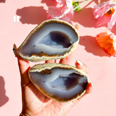Agate Geode Pair
