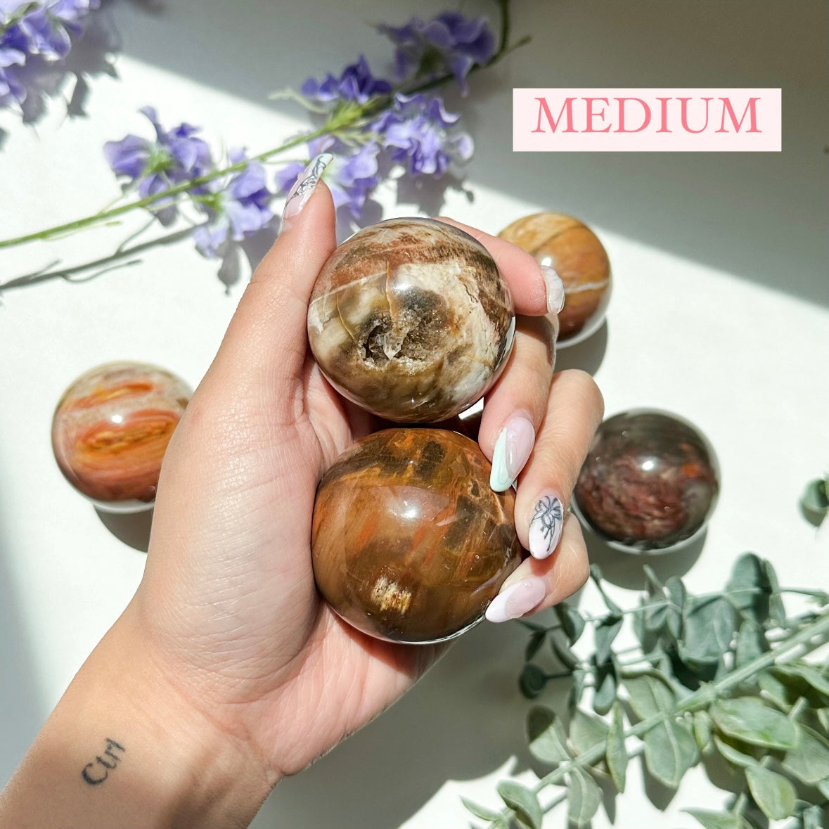 Petrified Wood Sphere