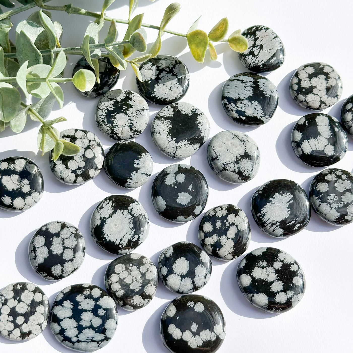 Snowflake Obsidian Flat Stone - MINI