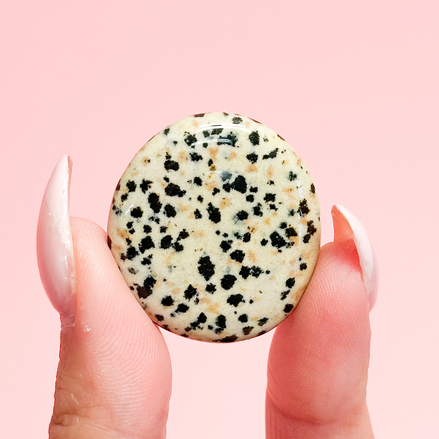 Dalmatian Jasper Flat Stone - MINI