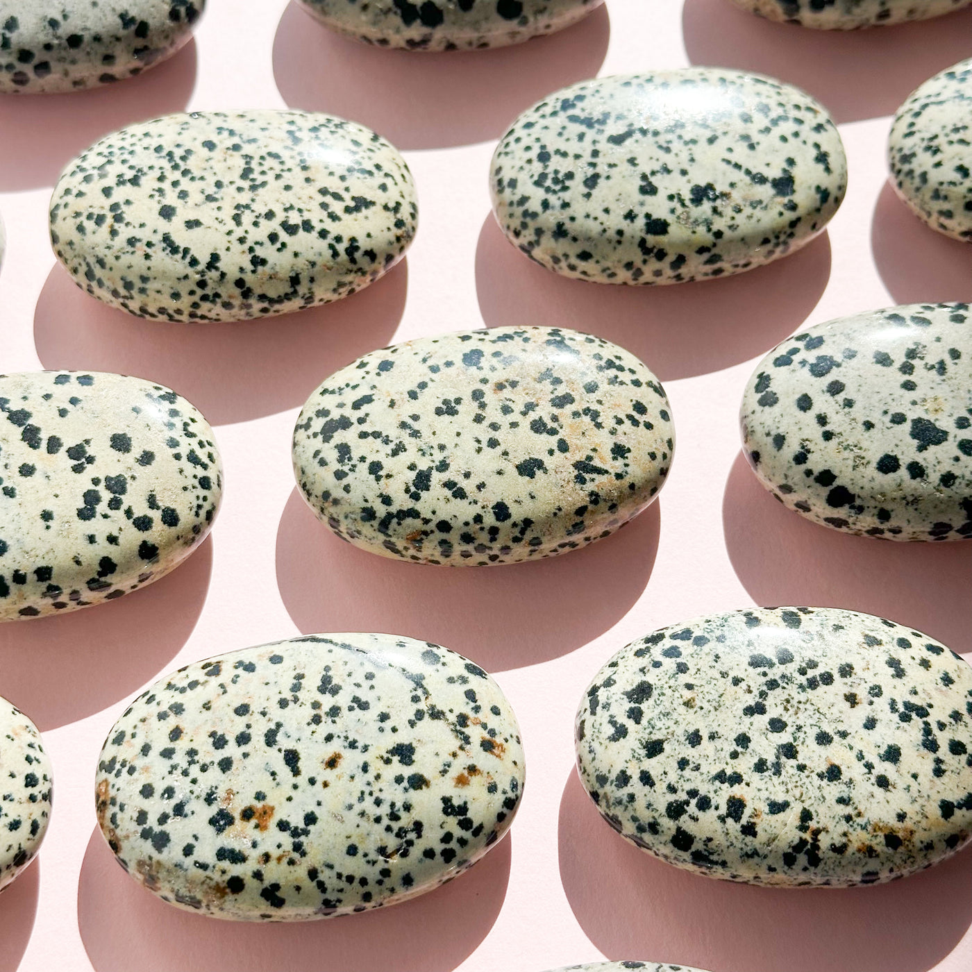 Dalmatian Jasper Palmstone