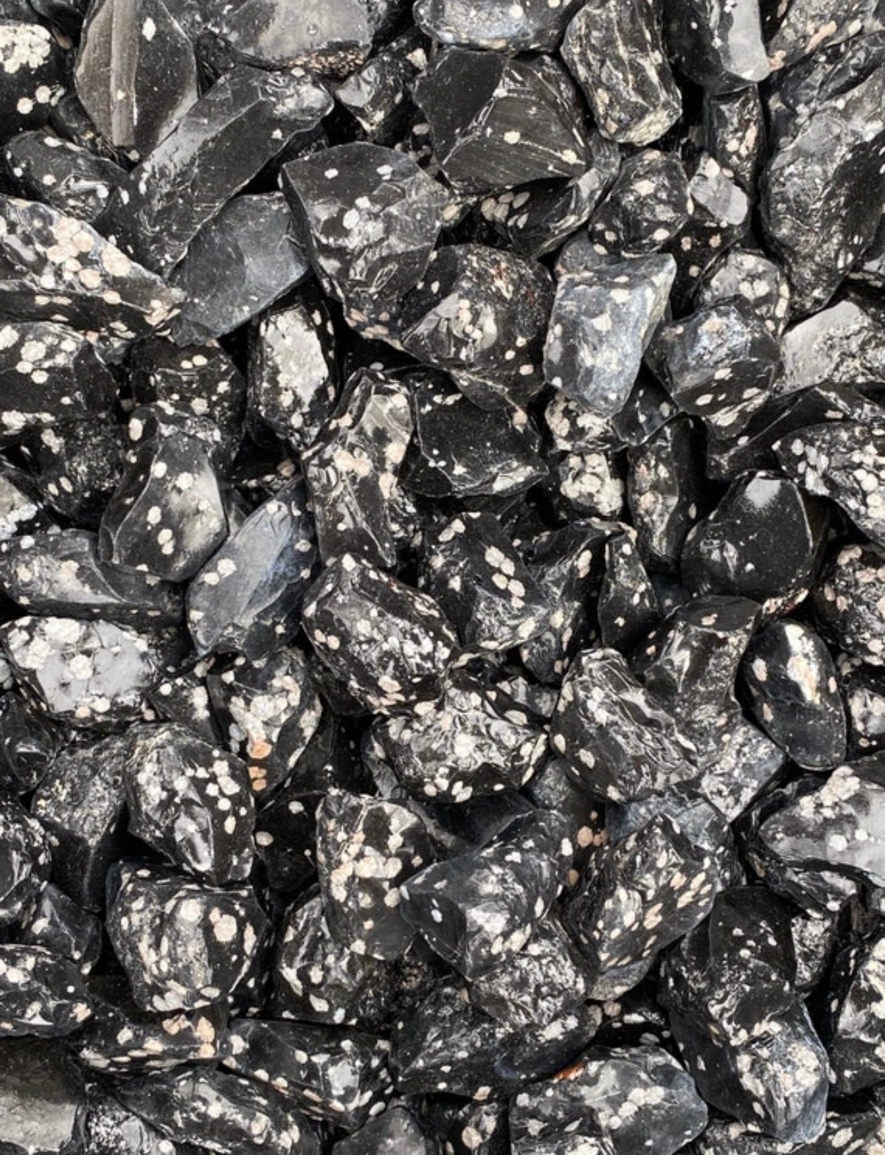 Five Raw Snowflake Obsidians