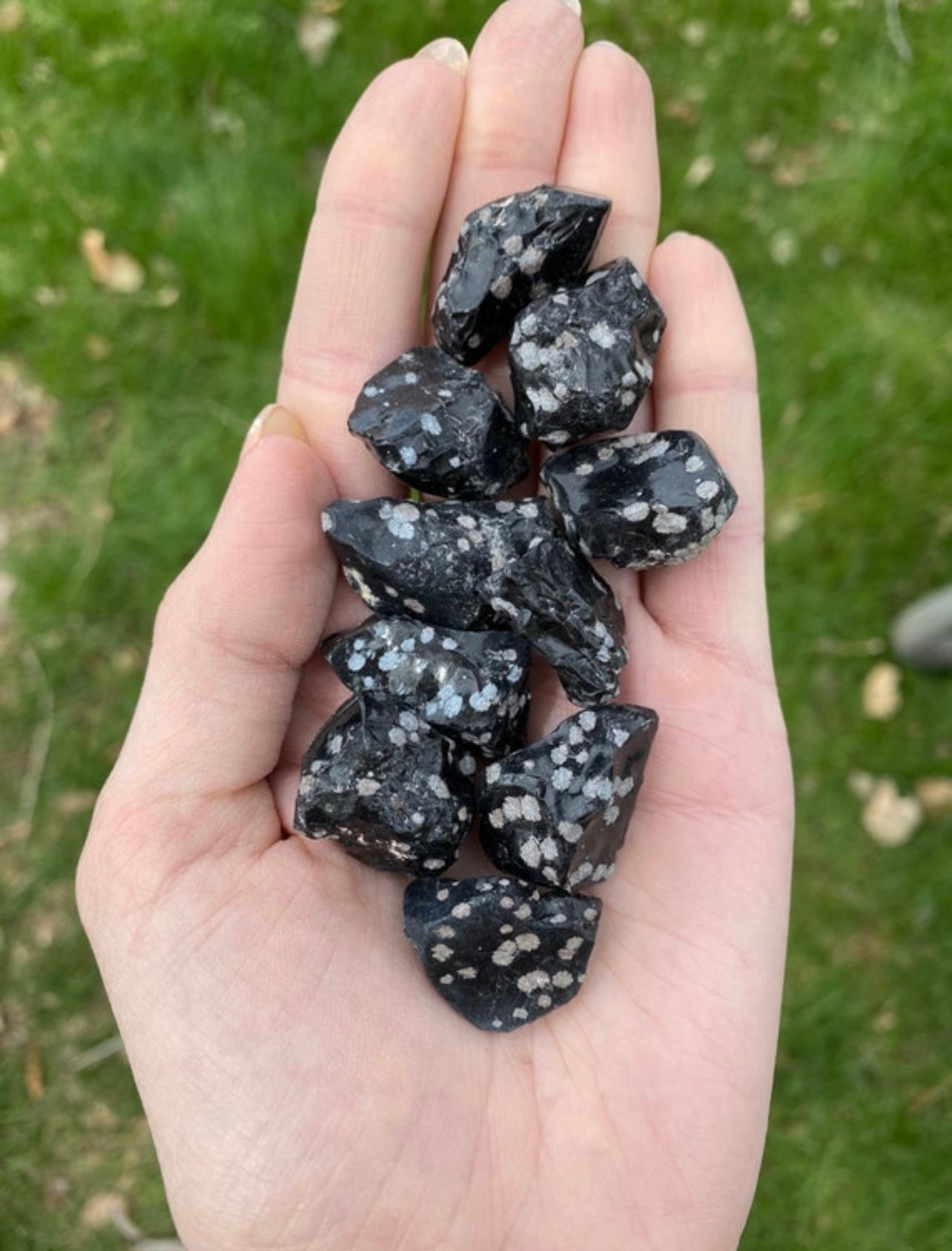 Five Raw Snowflake Obsidians