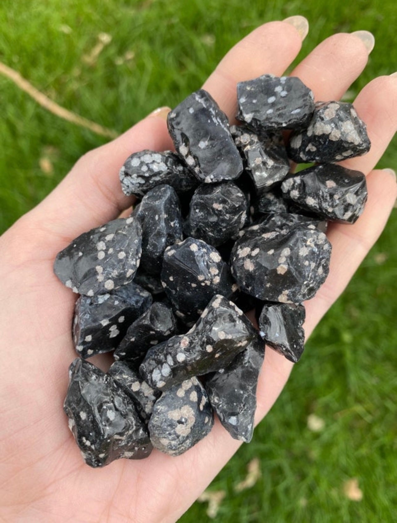 Five Raw Snowflake Obsidians